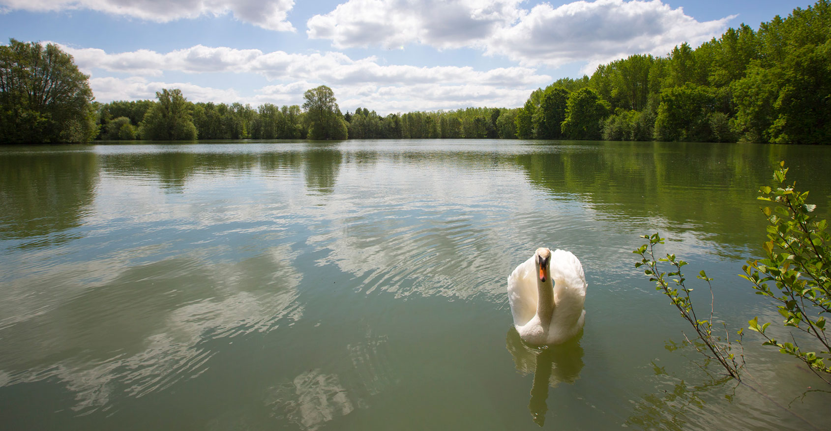 Carp Fishing Holiday in France Three Islands Lake Only 2 hours from